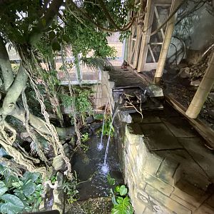 Tropical House from Upper Floor 111121