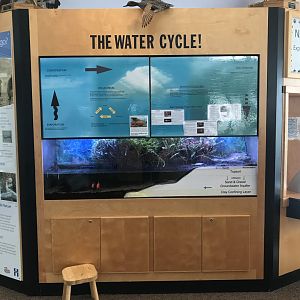 Wood Lake Nature Center - The Water Cycle Tank