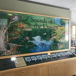 Wood Lake Nature Center - Sounds if the Unseen Display