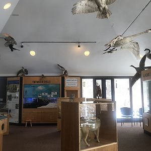 Wood Lake Nature Center - Overview