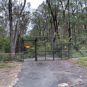 Exclusion Fence - Tidbinbilla