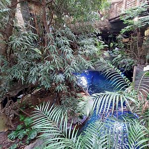 View of The River and Monkey Island