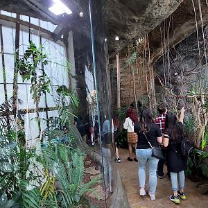 Hidden Treasures exhibits