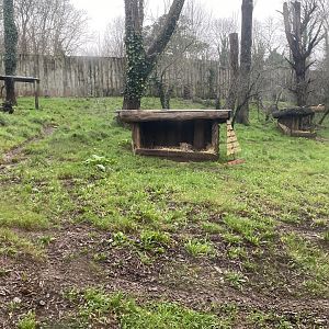 South African cheetah enclosure 301221