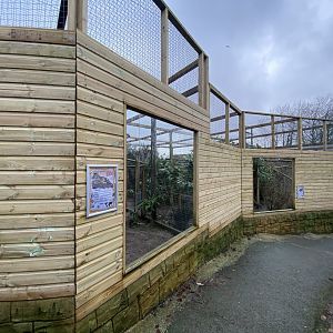 Indochinese clouded leopard enclosure 160122