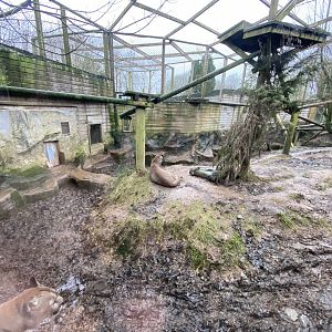 Puma enclosure 160122