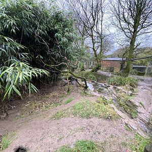 Bush dog enclosure 160122