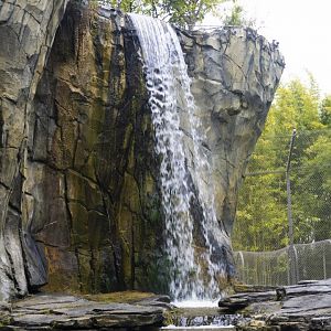 Jan. 2022 - Land of the Tiger - Right Tiger Exhibit - Waterfall