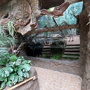 The River's Edge- Anaconda Exhibit