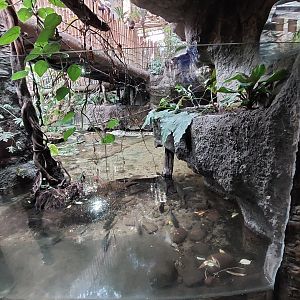 View into Crocodile Cove