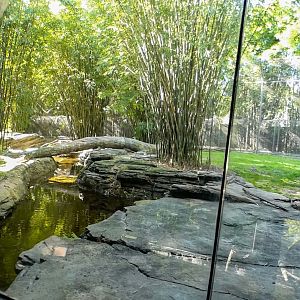 Jan. 2022 - Land of the Tiger - Left Tiger Exhibit (Malayan/Sumatran)