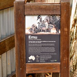 Emu Chick Sign