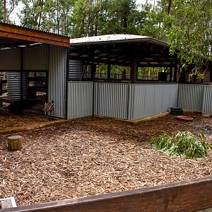 Emu Chick Enclosure