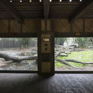 Jan. 2022 - Land of the Tiger - Left Tiger Exhibit Vewing (Malayan/Sumatran)