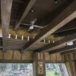 Jan. 2022 - Land of the Tiger - Left Tiger Exhibit Overhead Pass (Malayan/Sumatran)