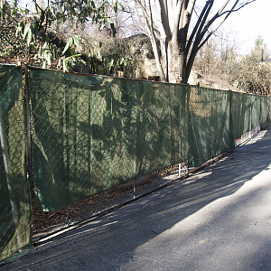 Jan. 2022 - Bear Hill - Spectacled Bear Exhibit Fenced Off