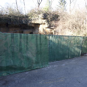 Jan. 2022 - Bear Hill - Black Bear Exhibit Fenced Off