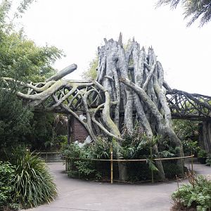 Jan. 2022 - Land of the Tiger - Tiger Overpass (Malayan/Sumatran) See the Tiger?