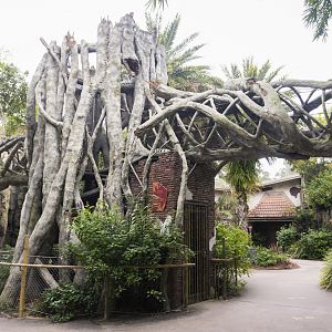 Jan. 2022 - Land of the Tiger - Tiger Overpass (Malayan/Sumatran) See the Tiger?