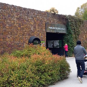 Entrance Pavilon Selem A Plazu