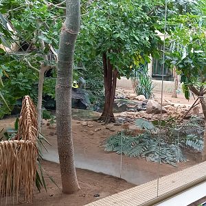 Part Caribbean enclosure