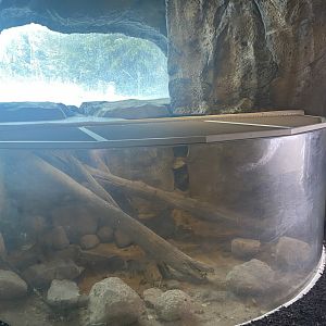 Renovations on the Former Rainbow Trout Tank