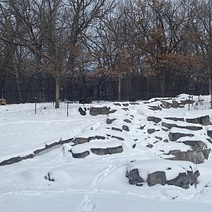 Northern Trail - Sichuan Takin Exhibit