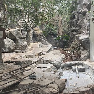 Tropics Trail - Cape Porcupine Exhibit (Former Visayan Warty Pig Exhibit)