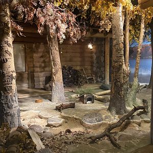 Minnesota Trail - Virginia Opossum/Striped Skunk Exhibit