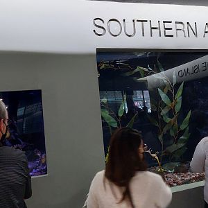 Southern Australia Tanks