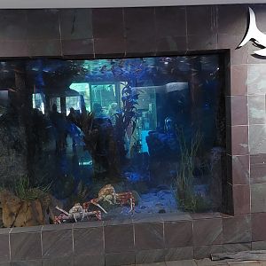 Denizens of the Deep Tank