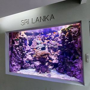 Sri Lanka Tank