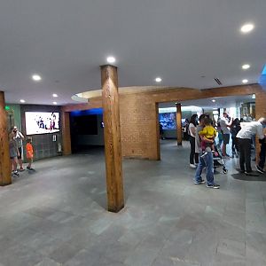 Aquarium Gallery Overview