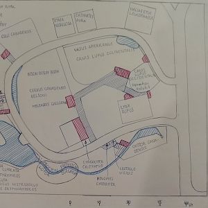 South Central Rockies forests part of my ecoregion zoo