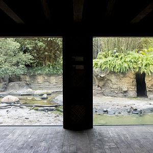 Jan. 2022 - Land of the Tiger - Babirusa/Asian Small-clawed Otter Exhibit Hut Viewing