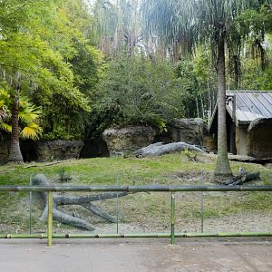 Jan. 2022 - Land of the Tiger - Babirusa/Asian Small-clawed Otter Exhibit