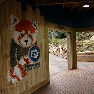 New entrance, 24 January 2022