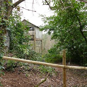 Big cat viewing platform, January 2022