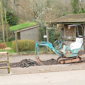 Goodbye Jungle Express, 24 January 2022