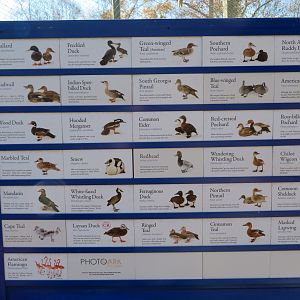 Entrance Aviary Signage