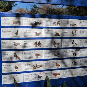 Eurasian Aviary Signage