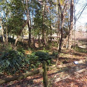 Demoiselle Crane Yard