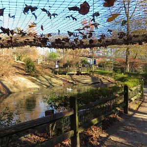 North American Aviary