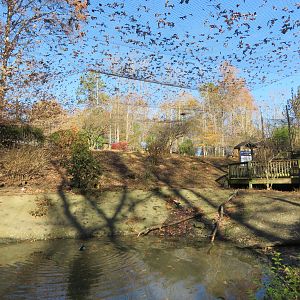 North American Aviary