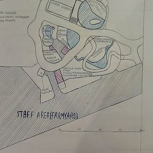 Patagonian steppe part of my speculative ecoregion zoo