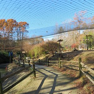 South American Aviary