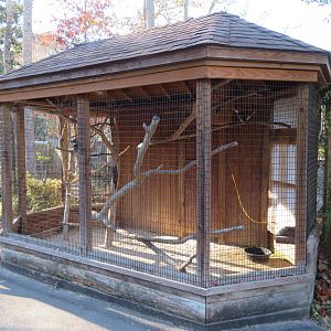 Laughing Kookaburra Cage