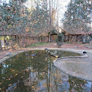 Flamingo Aviary (No Flamingos)