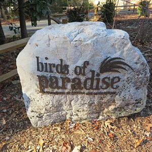 New Aviary Rock Sign