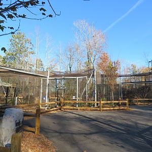 Birds of Paradise Aviary